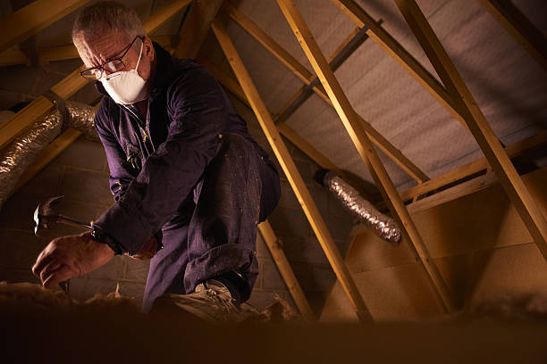 Types of Insulation We Offer in Pleasant Hill, OH