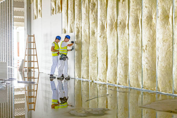 Best Cellulose Insulation in Pleasant Hill, OH